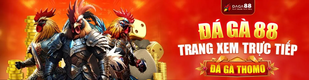 Tổng quan hoạt động của vn66 casino và vn66 bet